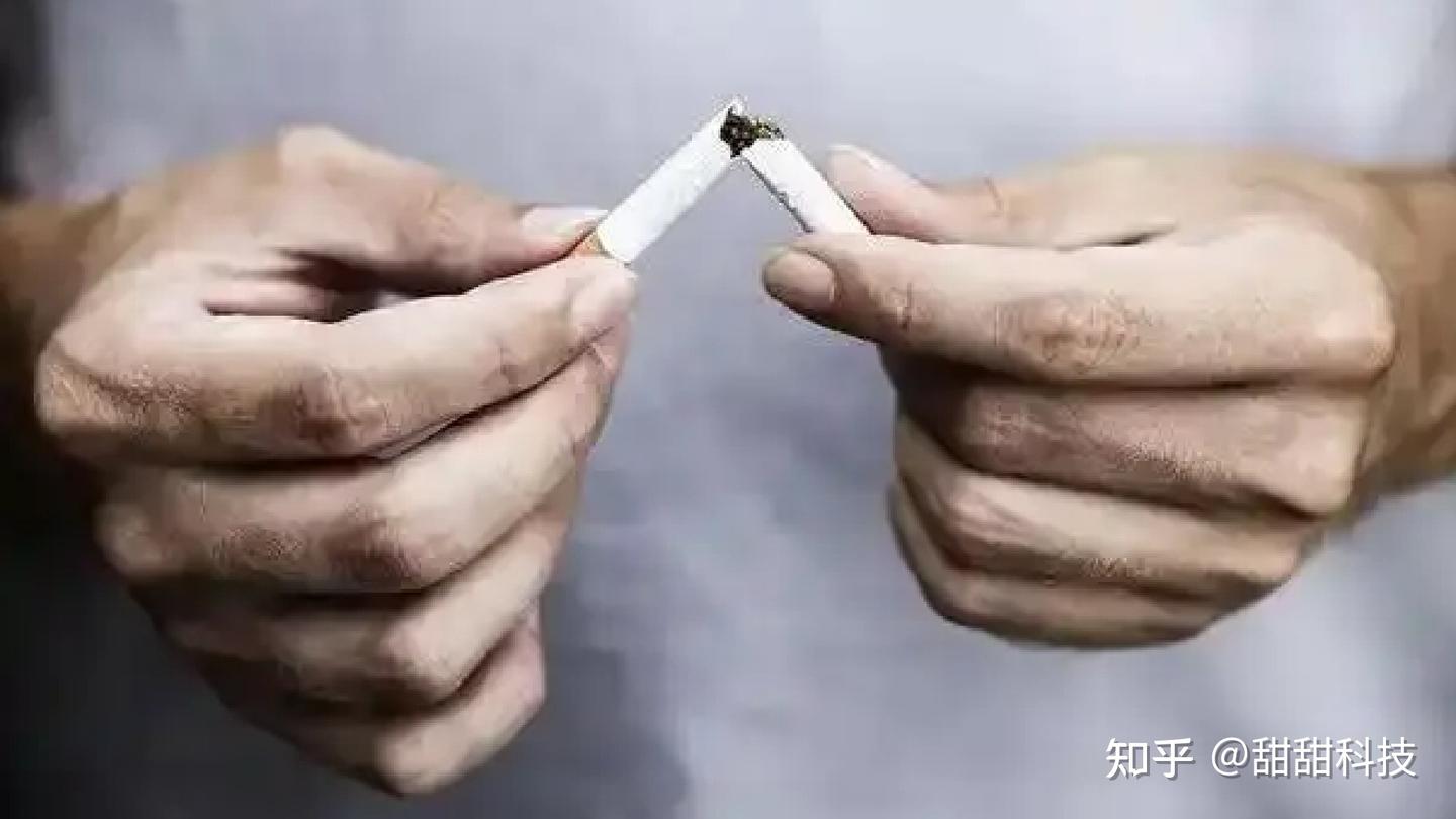 除二手烟空气净化器怎么选?空气净化器能除二手烟吗?拾梧|美的|小米等除二手烟空气净化器推荐2026,附除二手烟空气净化器测评+选购攻略分享!码住本篇除二手烟空气净化器测评带你安全上车不踩坑!