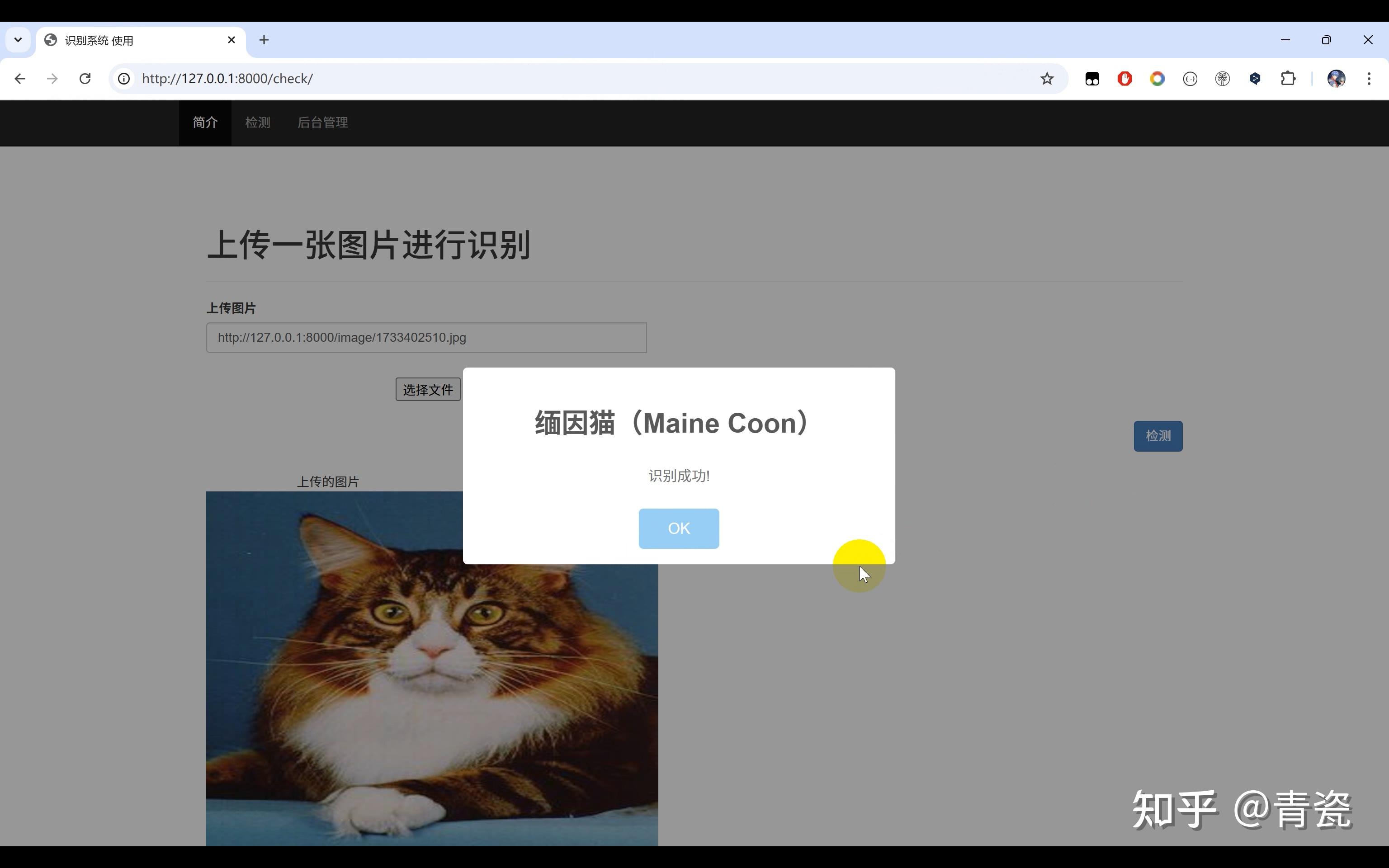 猫狗宠物识别系统Python+TensorFlow+人工智能+深度学习+卷积网络算法 - 知乎