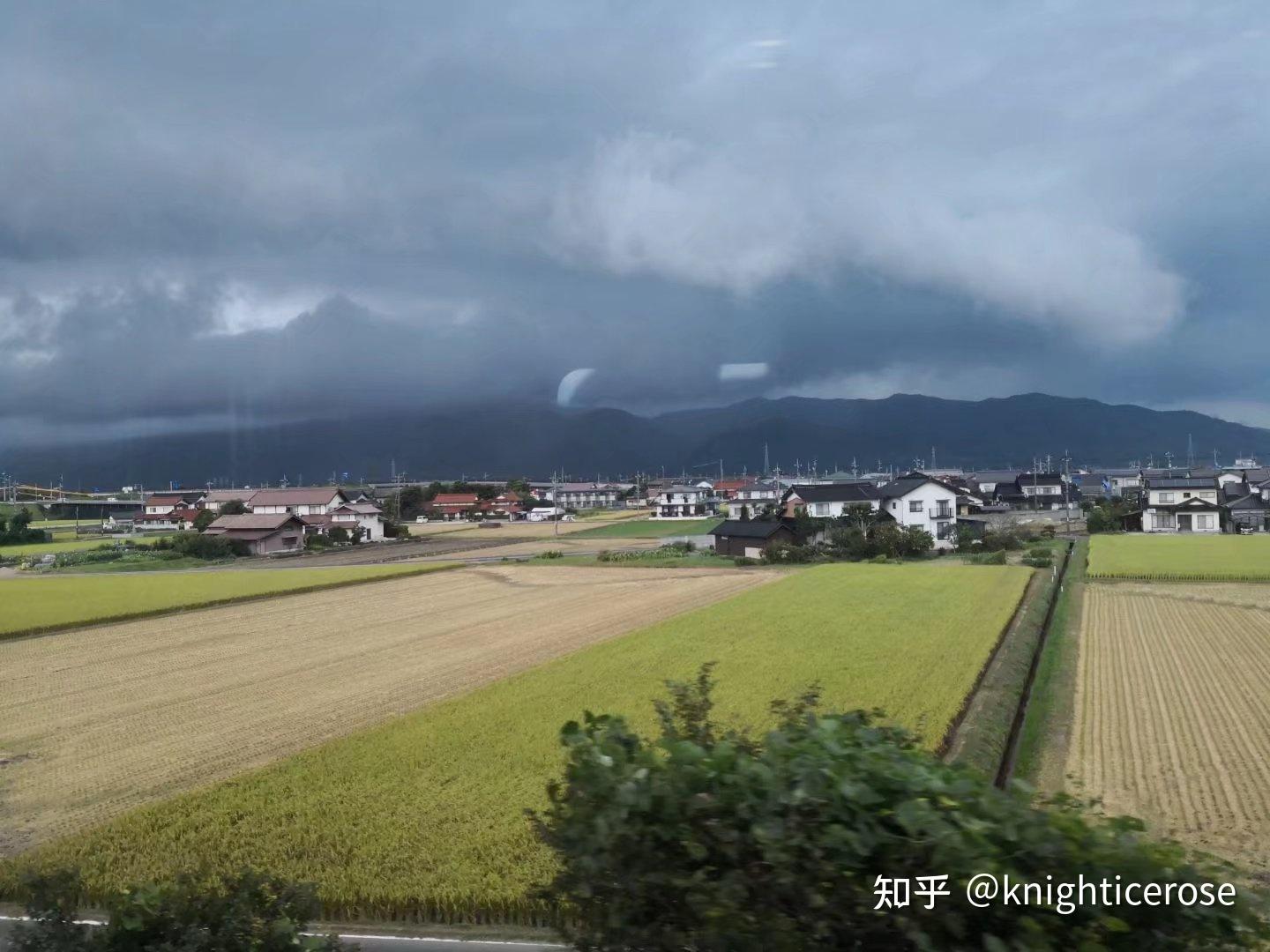 日本出云大社有哪些值得游玩的地方? - 知乎