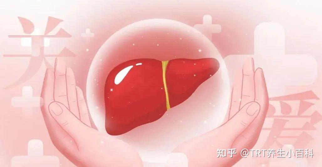 艾仲医