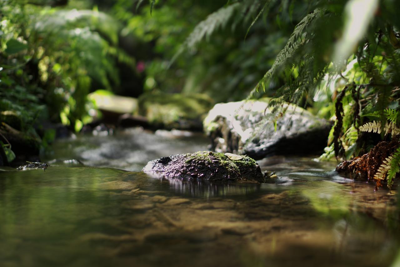 鱼缸水如何回流