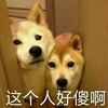 雎洲