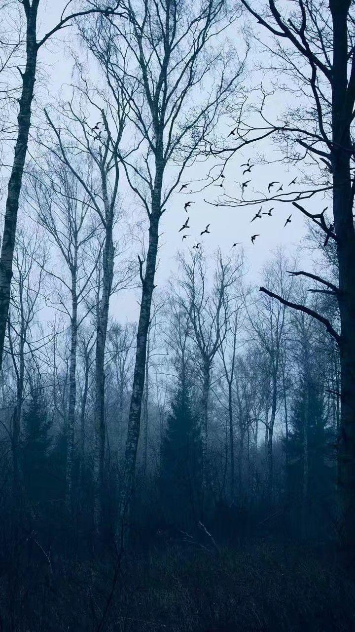 有什么性冷淡风的壁纸