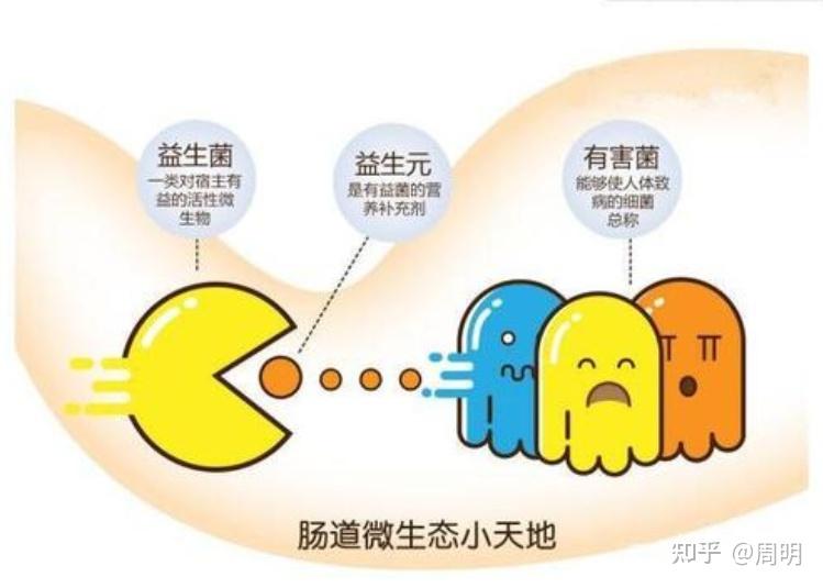 益生元在慢性病预防中的作用 - 知乎