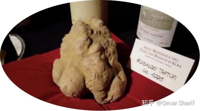国际市场上松露的价值几何？--松露 The Diamond of Kitchen ~ Truffles 09 - 知乎