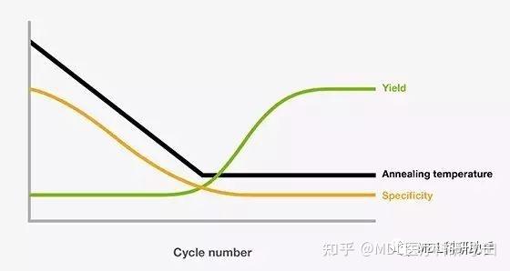 干货分享 | 常用PCR技术及原理 - 知乎