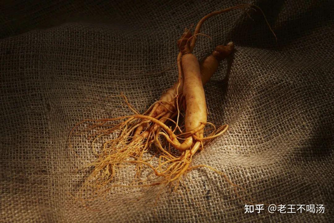 破圈的“一整根”人参水,到底怎么“火”的 - 知乎