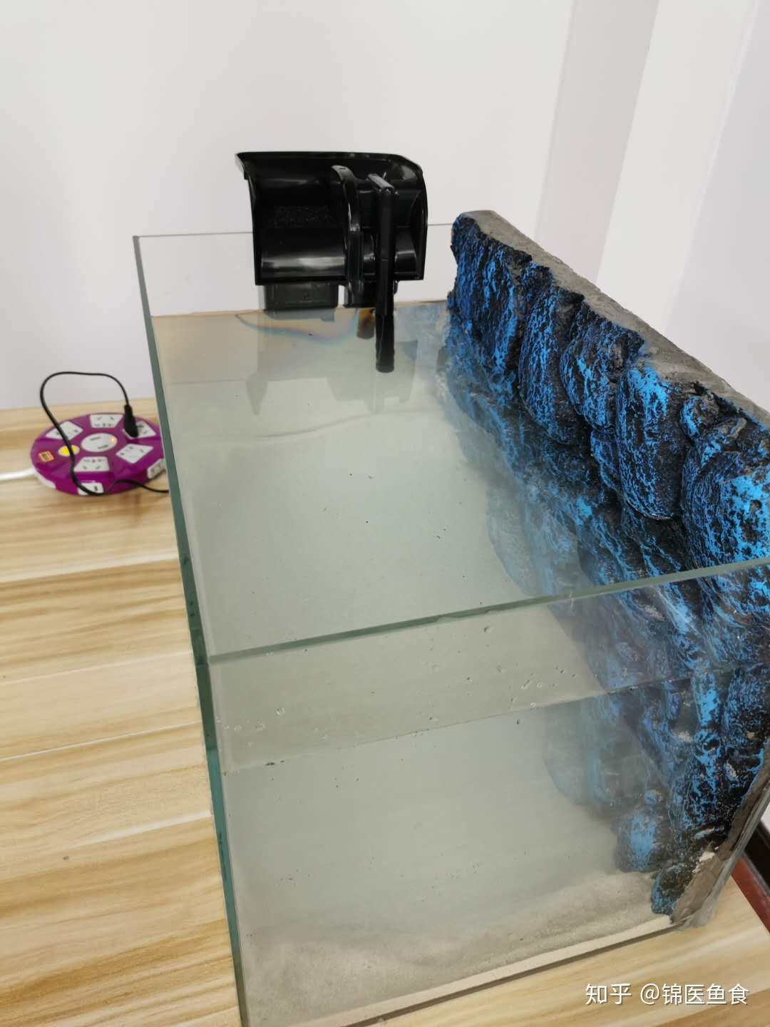 不放底砂,一米虹吸底滤鱼缸如何造景? - 知乎