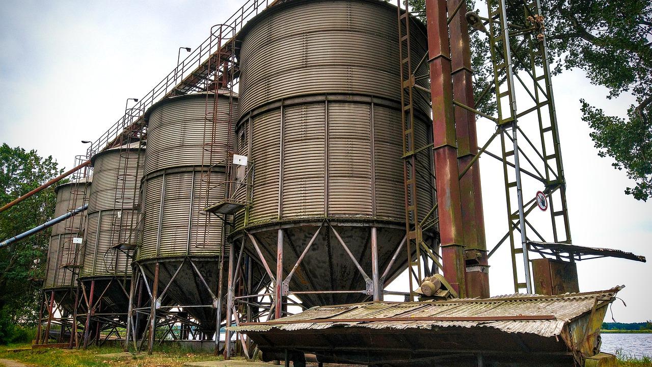 4. 生猪打胶要点