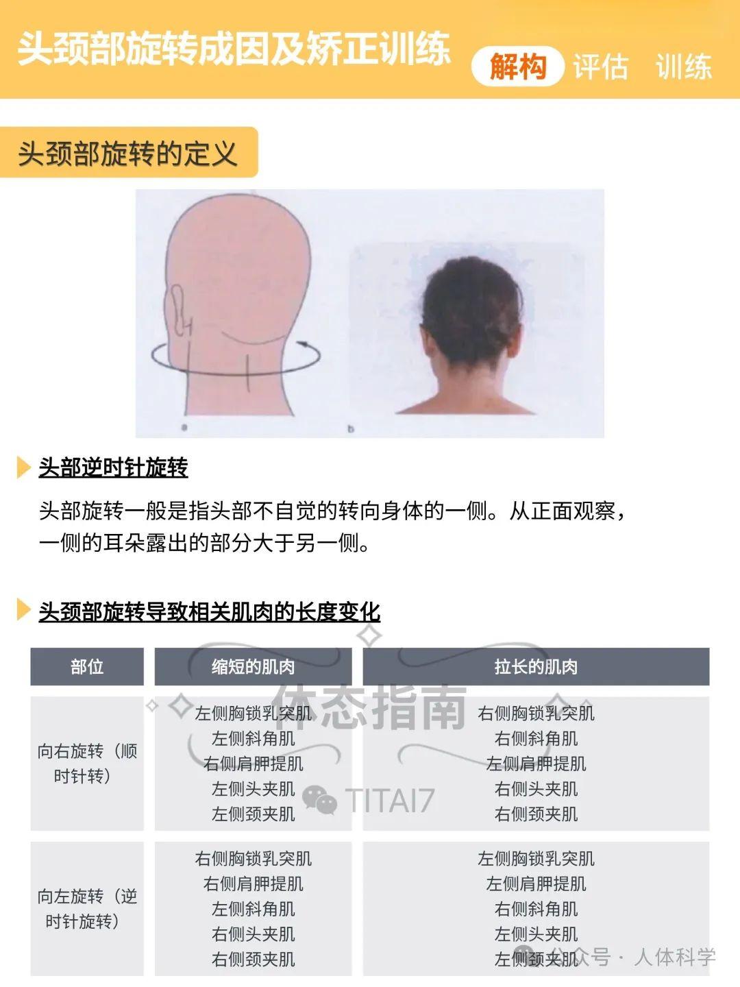 【新体态】头颈部旋转的成因、评估、运动矫正思路 - 知乎