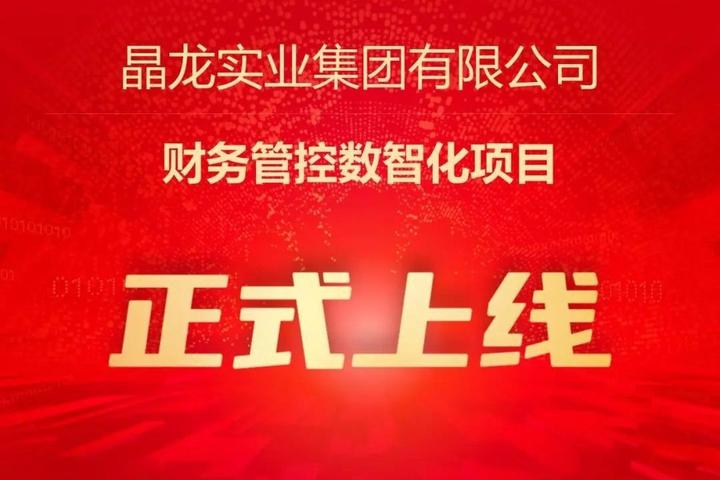 中国企业500强晶龙集团财务管控数智化项目成功上线!