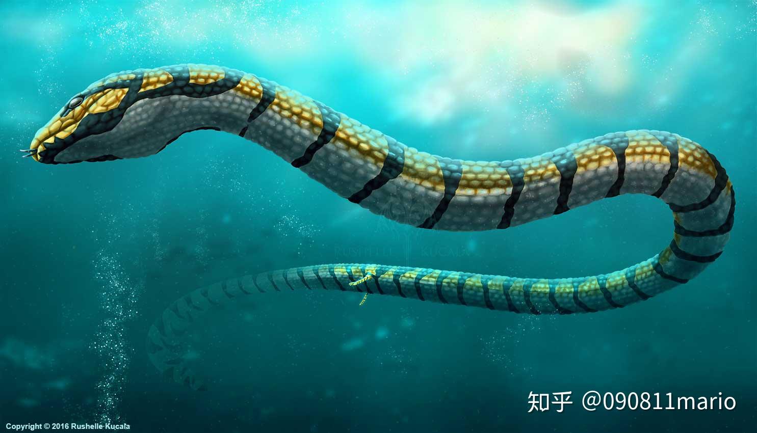 哪种恐龙变成了蛇或者蛇也有远古原始蛇