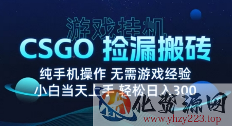 8月最新游戏搬砖，CSGO纯挂G，不需要玩游戏，实现真挂G，月入1W+【揭秘】