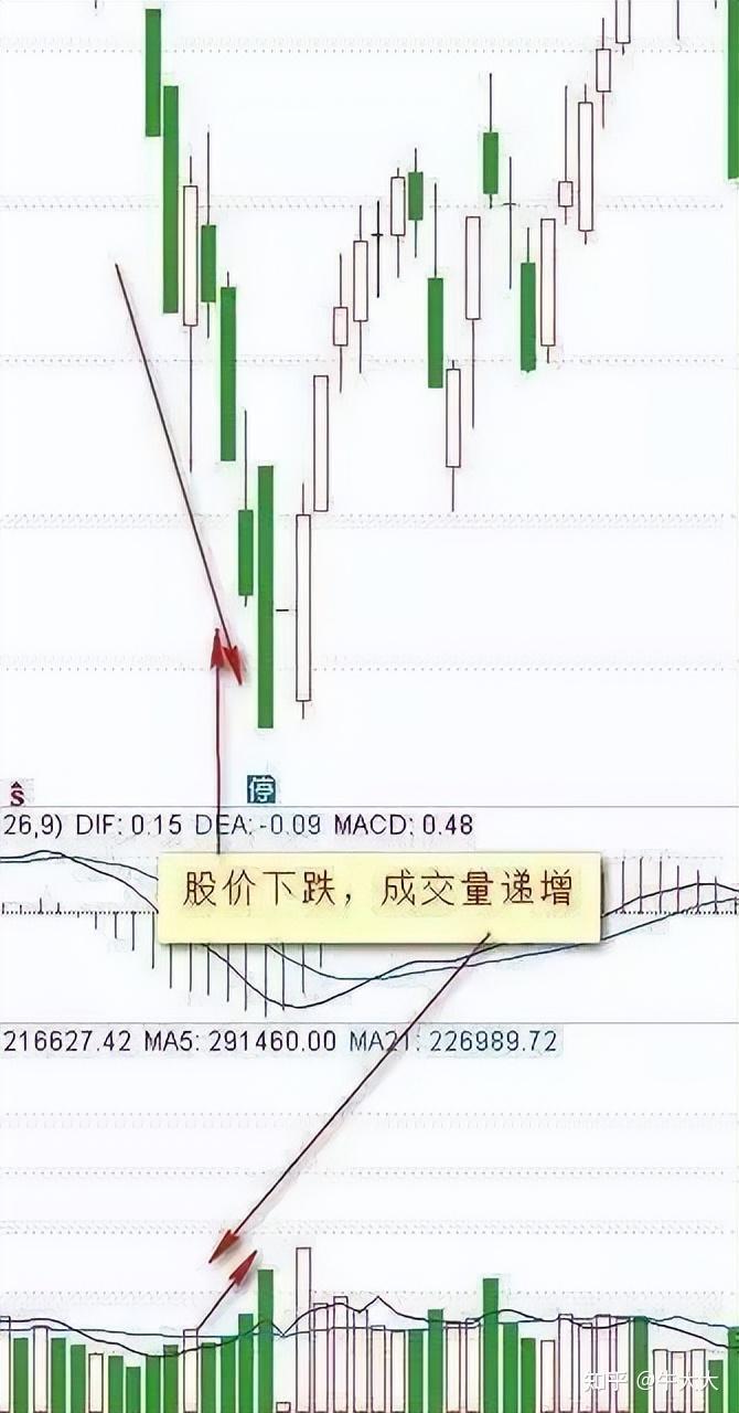 中国股市：炒股为什么要看懂成交量？更加要学会从缩量中找黑马！ - 知乎