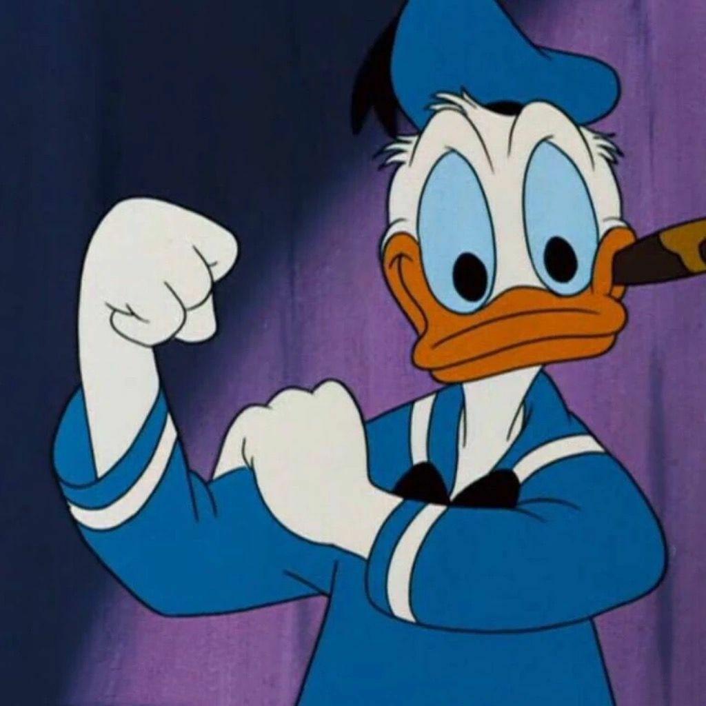 有哪些阳光开朗的头像推荐?