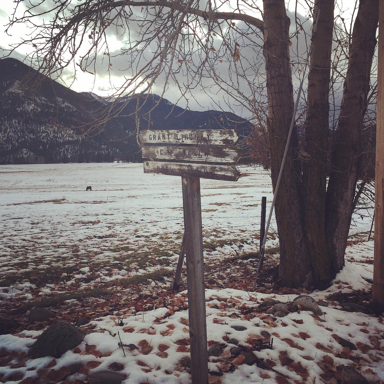 3. 房价走势分析