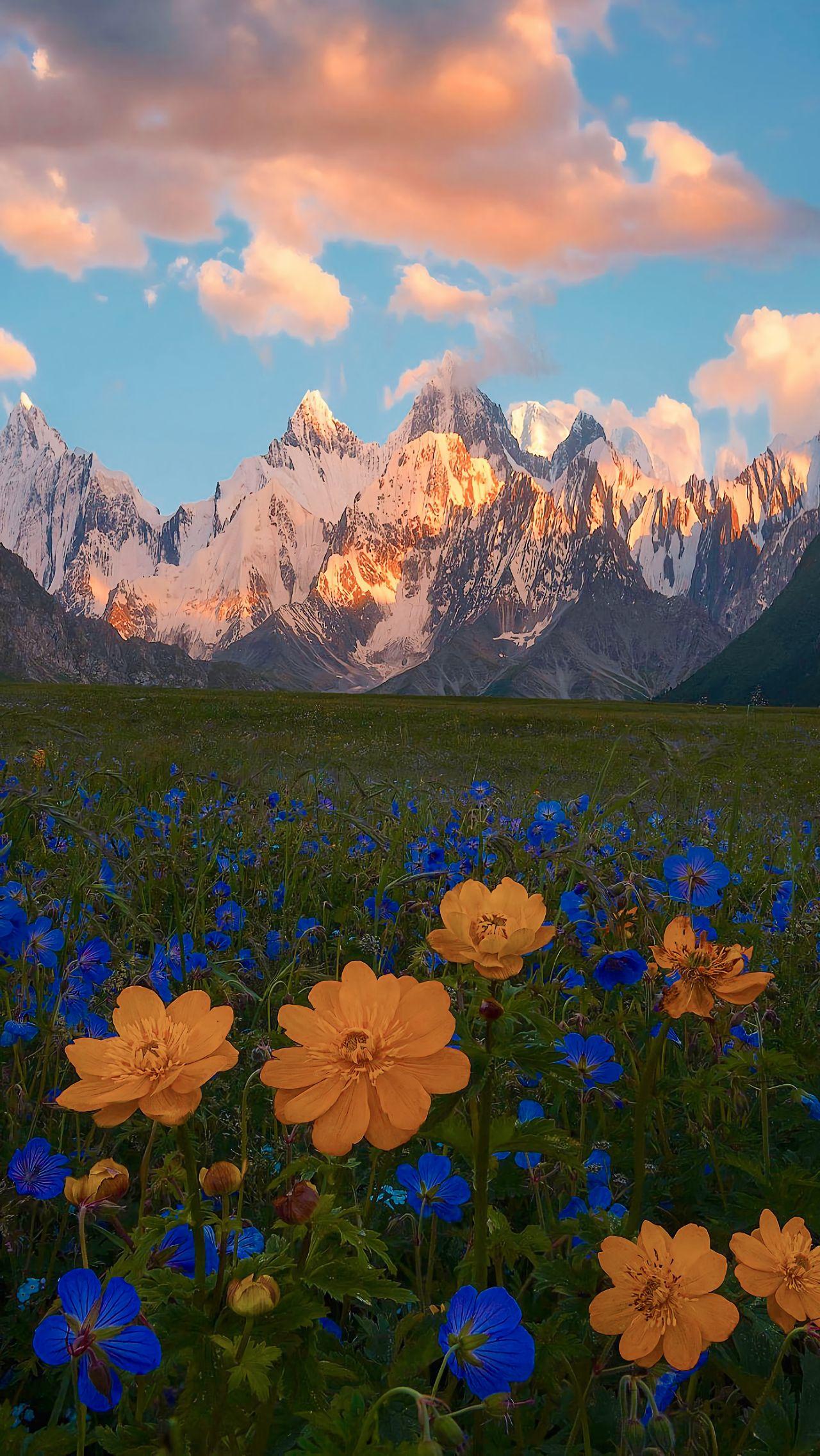 在知乎上见到过一个十分惊艳的壁纸可以帮我找找吗61025361