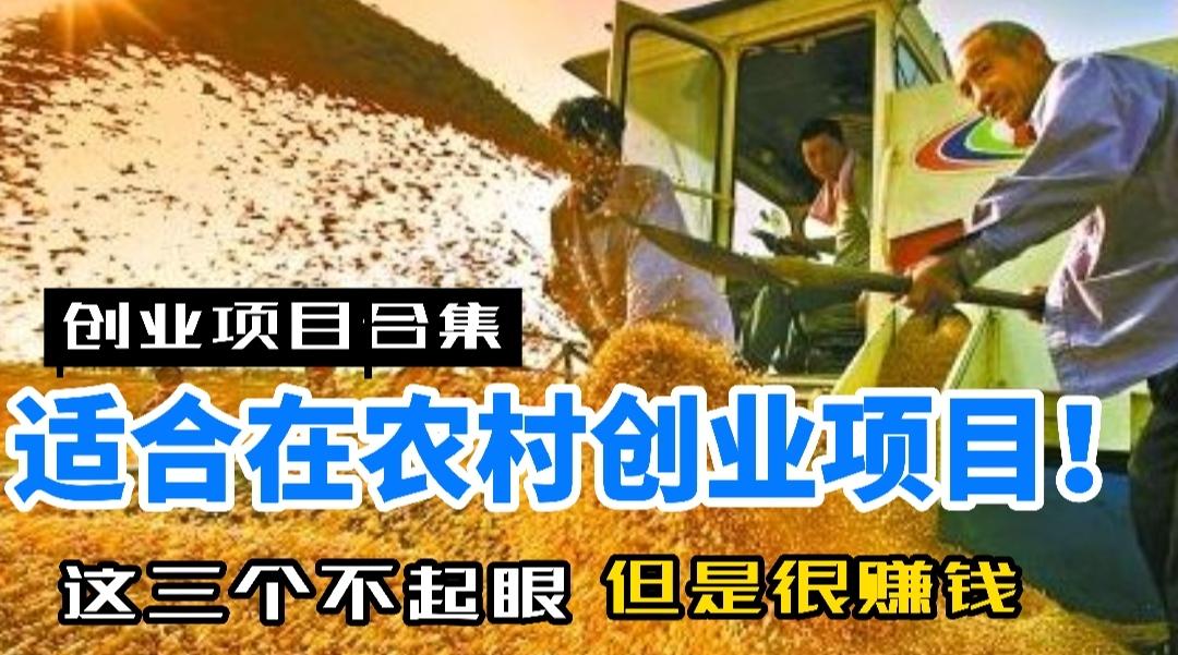 农村创业致富加盟网(农村创业项目大全,招商加盟)