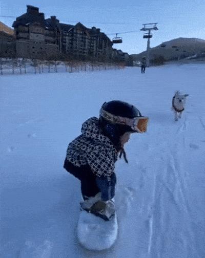 開課做飯滑雪那些滿級人類幼崽的一技之長也太驚豔了