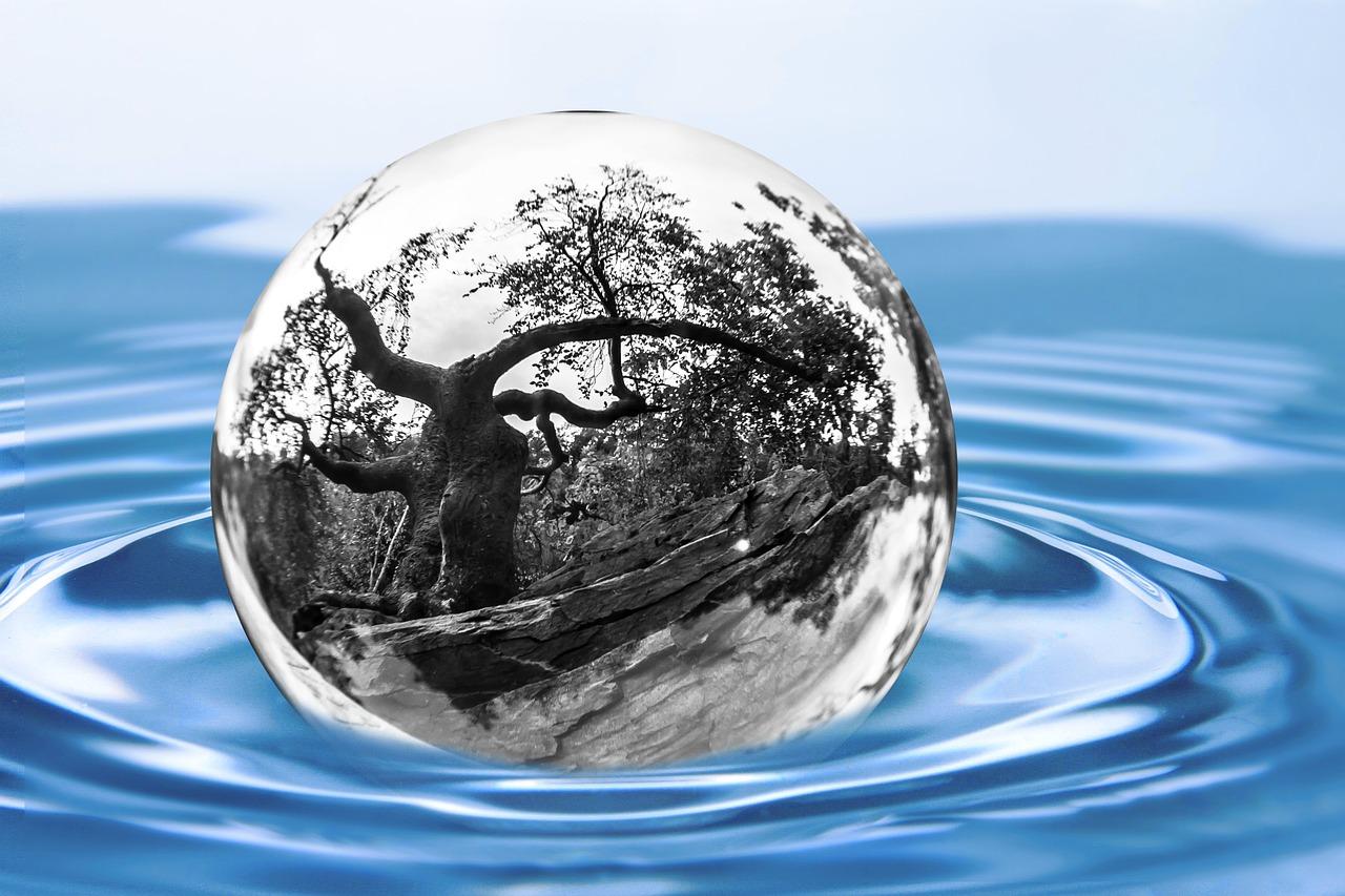 2. 纯净水品牌分析