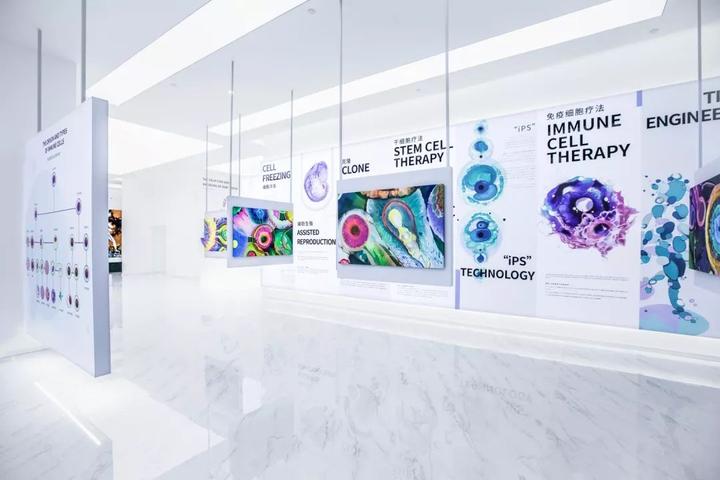 探秘生命密码：干细胞展厅里的未来医学图景｜干细胞科普馆设计公司 | 细胞科学馆设计 | 细胞生命科技馆设计 | 细胞库设计 | 企业展厅设计 ...