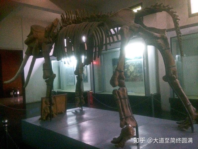 行走在180元的中国之——10元(奉节—夔门) - 知乎