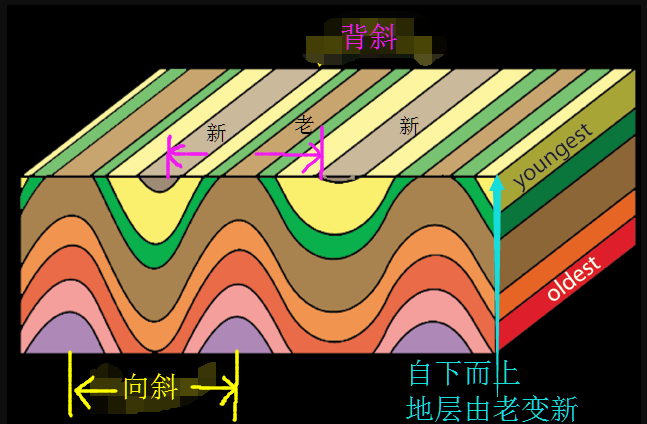 关于褶皱背斜与向斜经剥蚀后露出岩层新老的原理? 