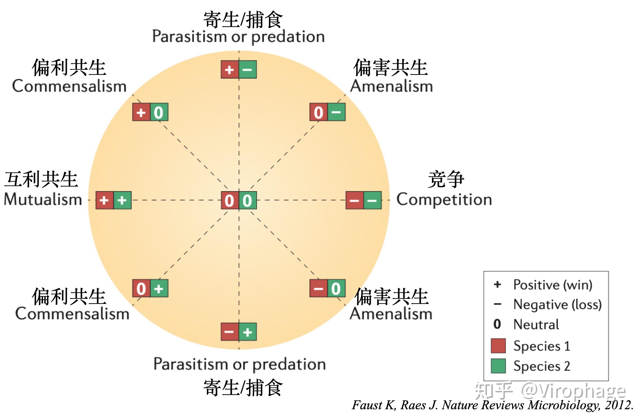 微生物的相互关系有哪些类型