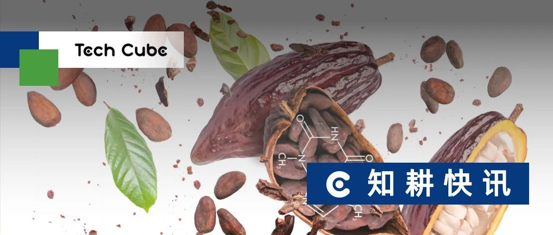 Celleste Bio Program 巧克力产业新解法?Celleste Bio用细胞培养技术解锁可可未来 - 知乎