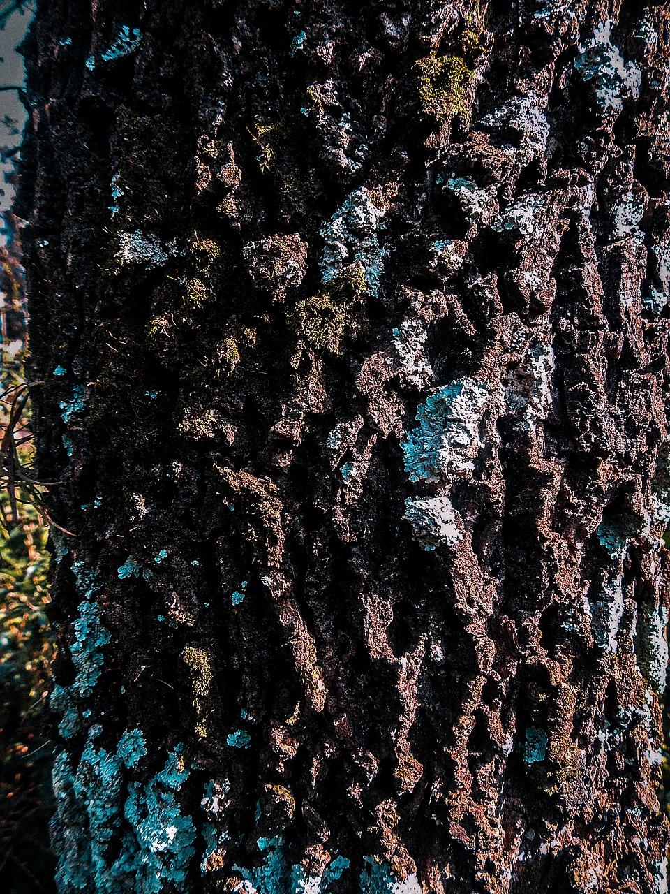 3. 房产维护分类