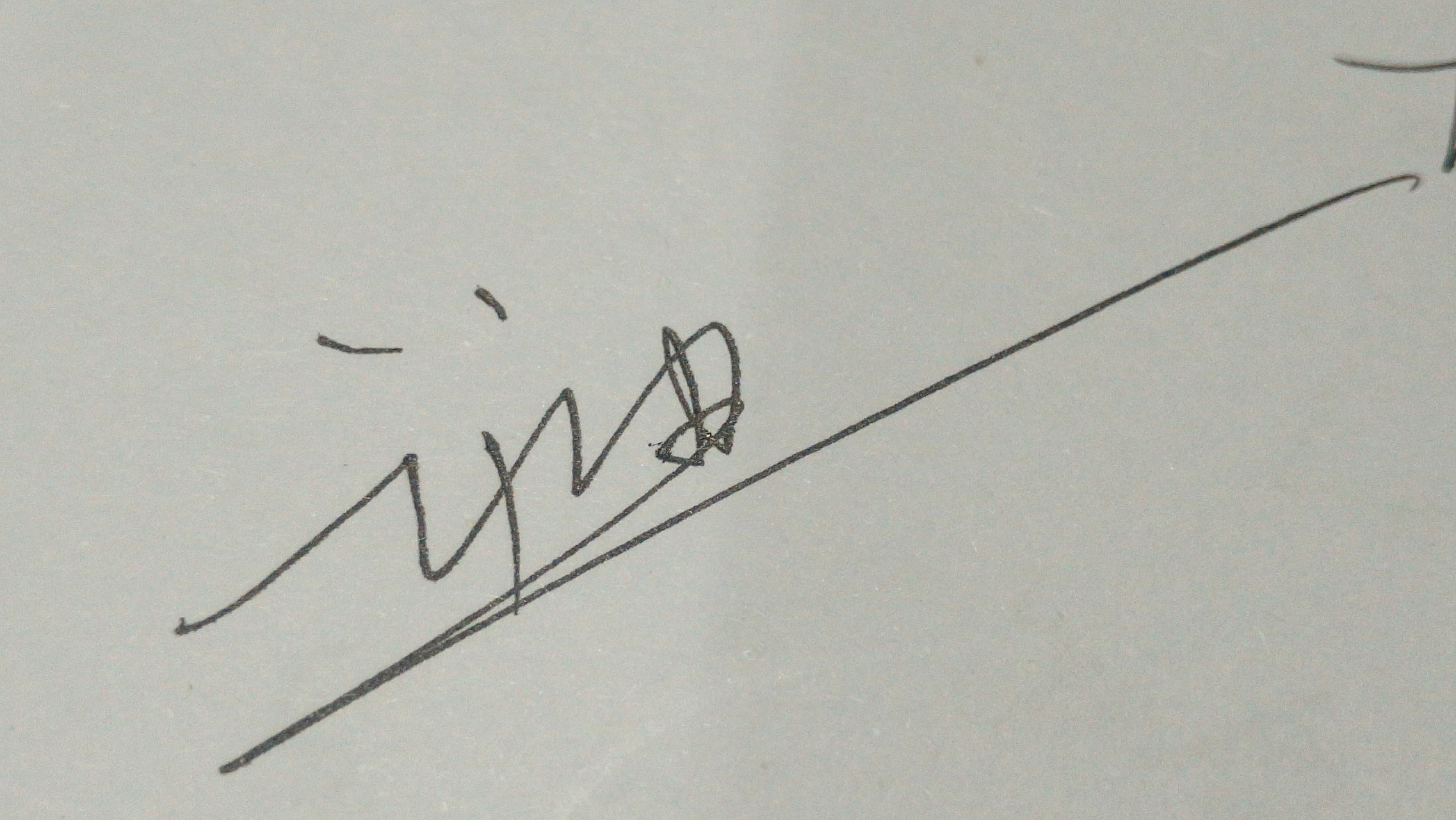 求签名设计王迪谢谢