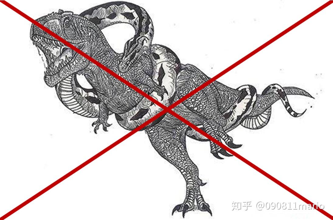 蛇的祖先有没有脚