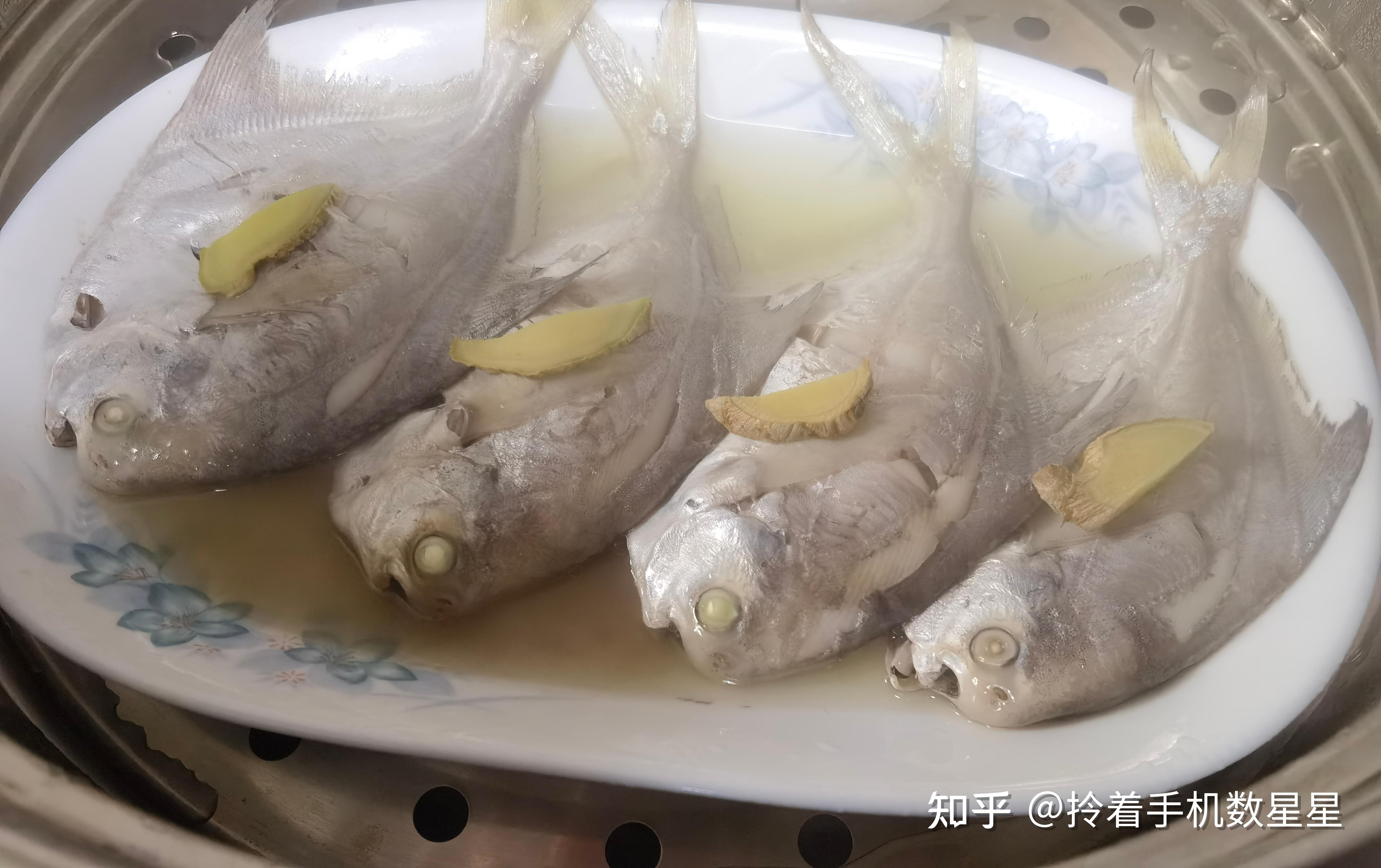 家常菜——清蒸小鲳鱼(仓鱼)几分钟最合适? - 知乎