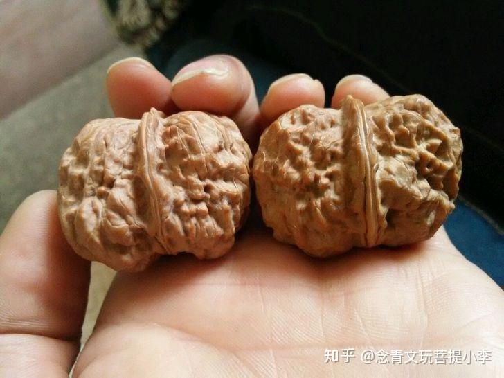 涨姿势：文玩核桃入门知识，长篇- 知乎