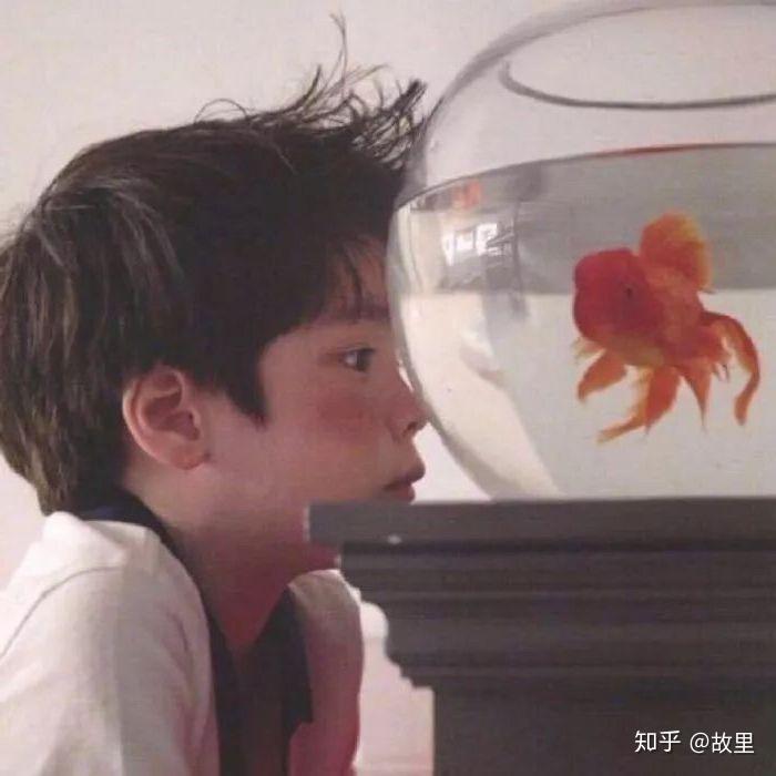 想要小女孩和小男孩看著魚缸的情侶頭像