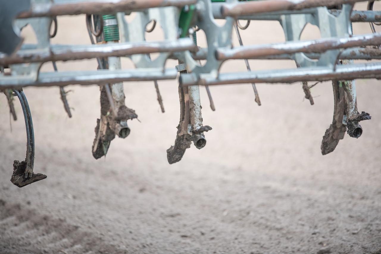 3. 修剪多余枝叶