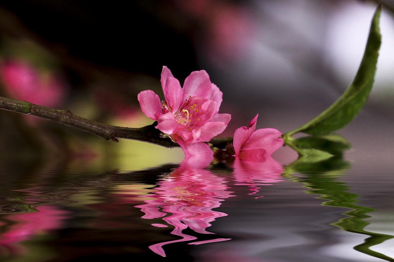 4. 征地成本解析