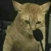 11111