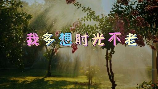 我多想时光不老一首经典歌曲唱出了一种心情
