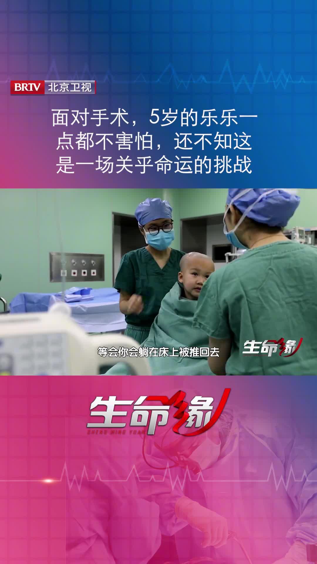 北京卫视生命缘颅骨拼图之14