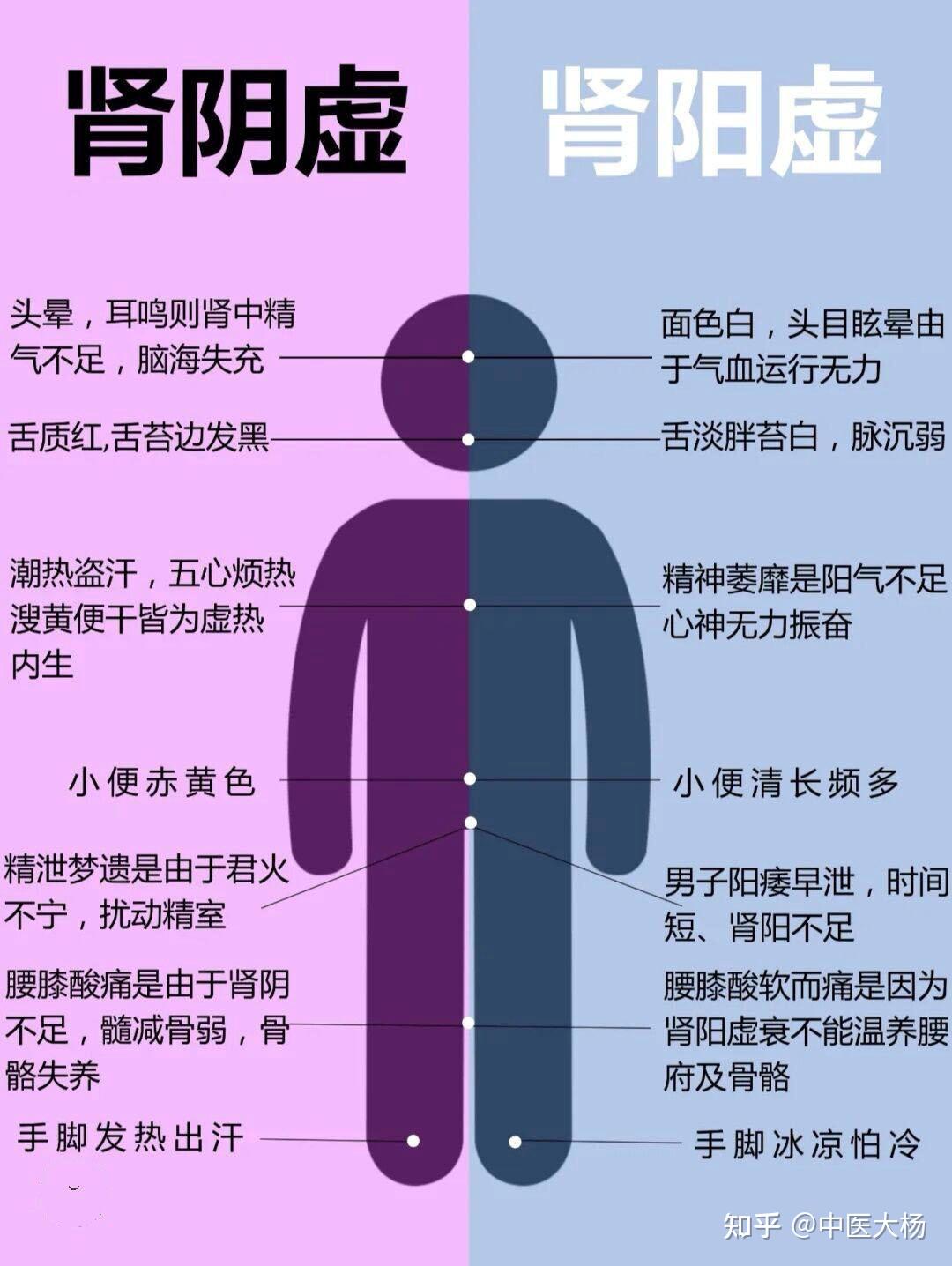 1分钟教您分辨肾阳虚和肾阴虚的区别,小孩子也能听懂 - 知乎