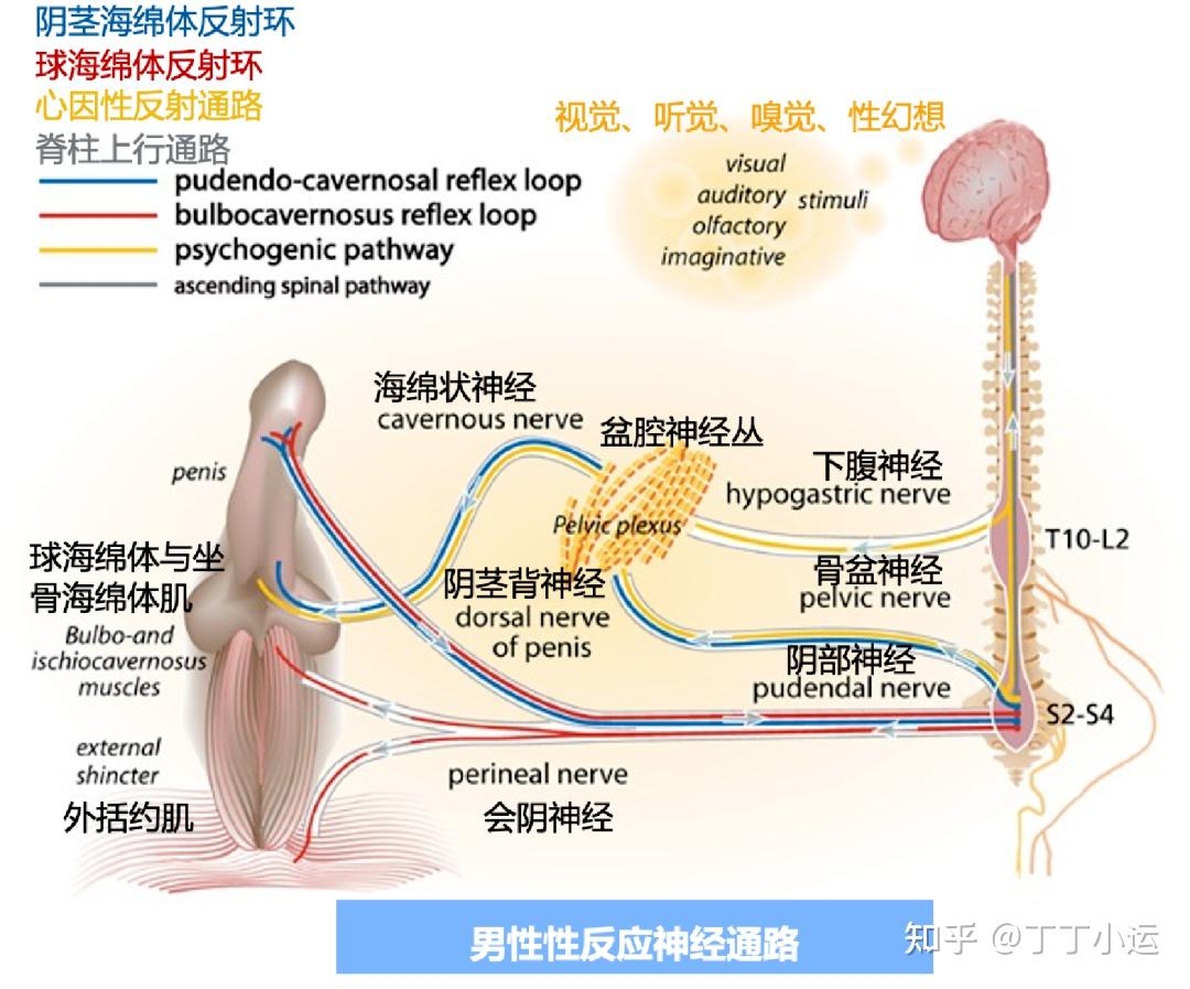 怎样才能射得又远、又爽？3个必备条件- 知乎