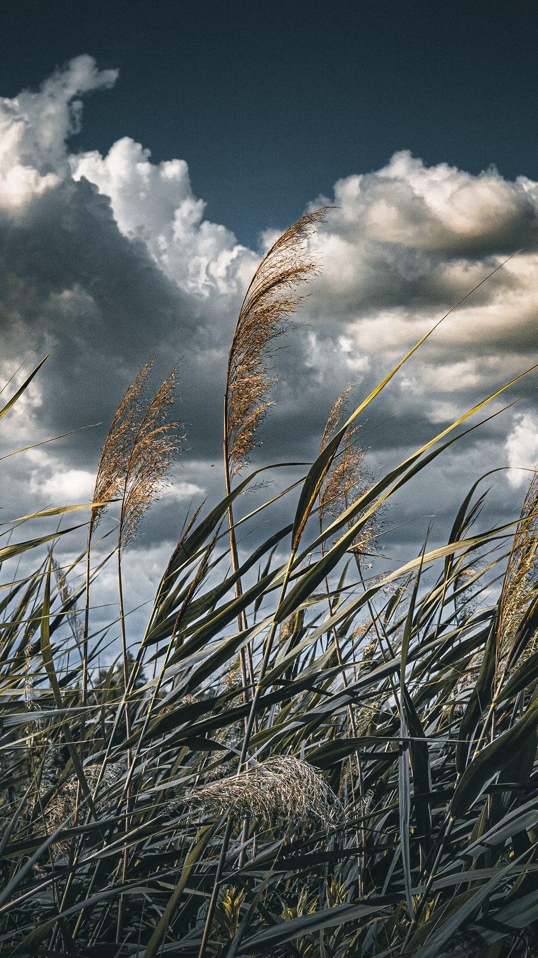 有哪些梦幻唯美意境深远开阔颜色淡雅以景为主的的壁纸或图片