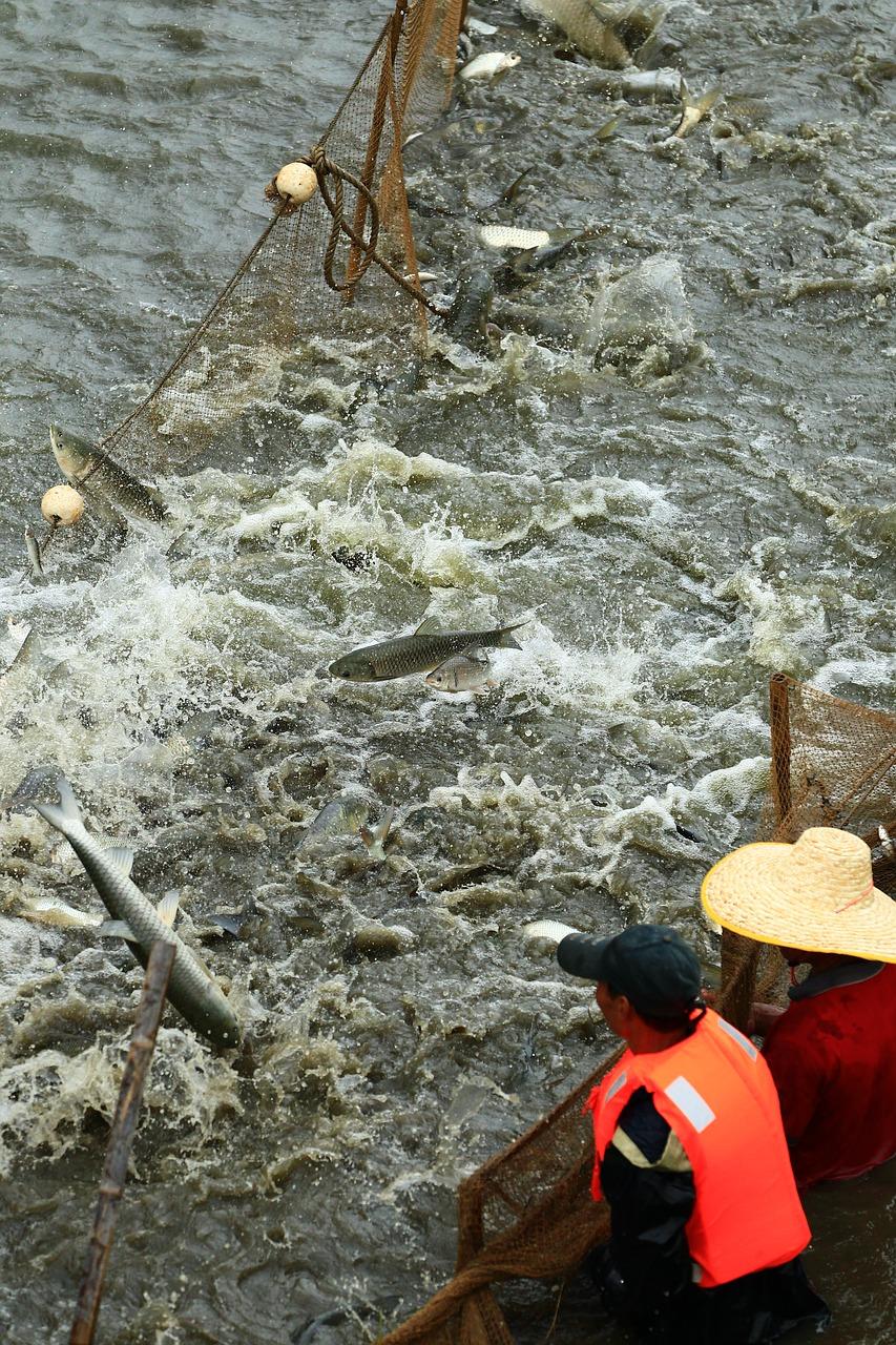 中山哪里开车游览山水
