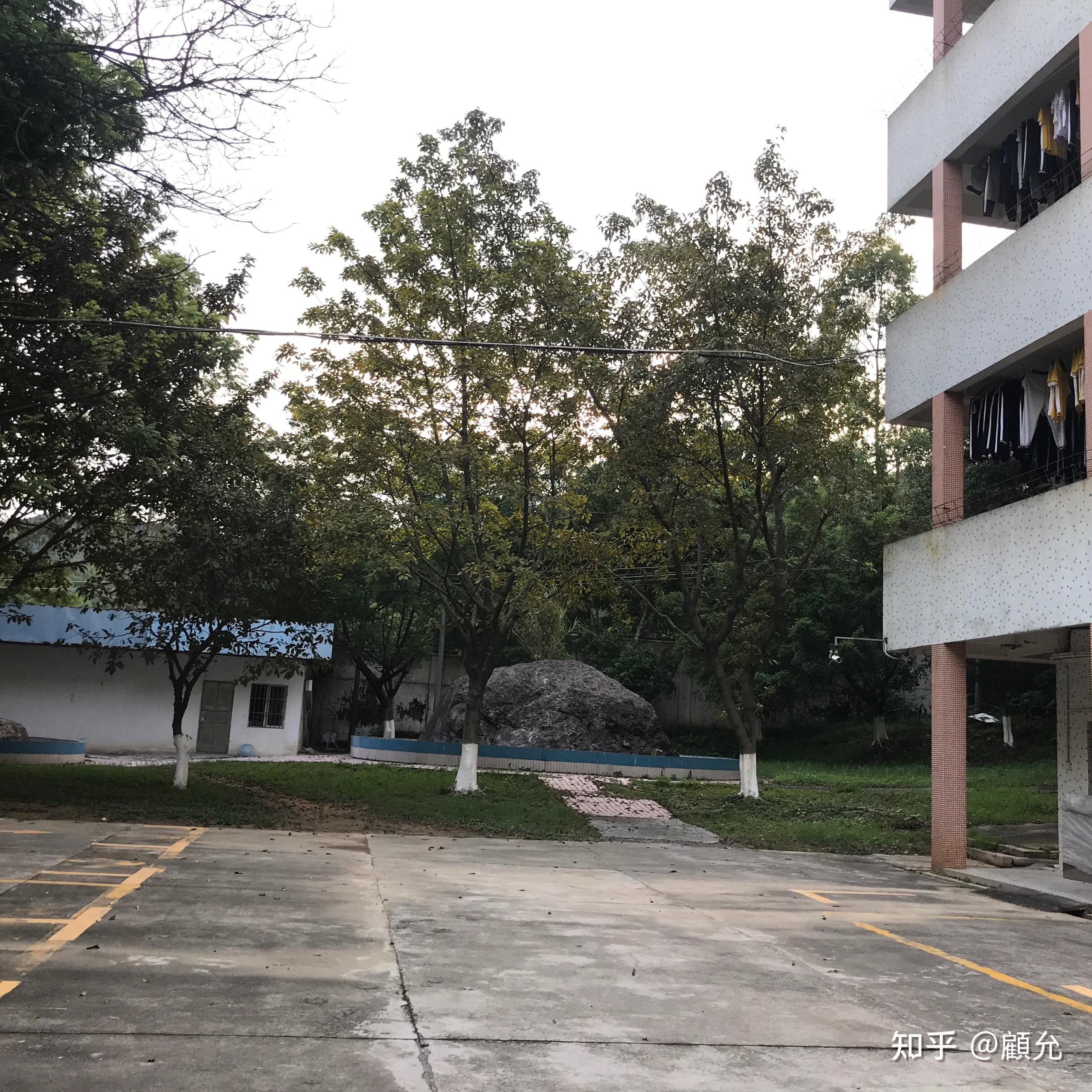 在肇庆市高要区第二中学(高要二中)就读是一种什么体验? - 知乎