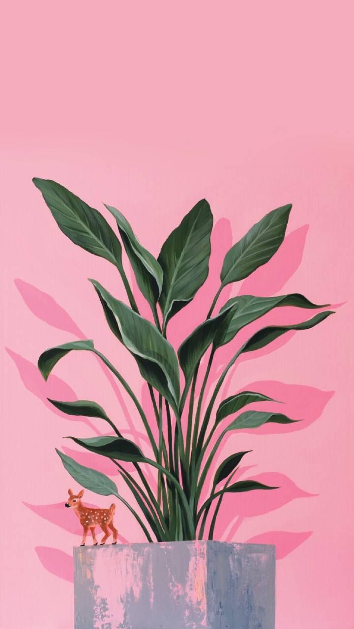 有哪些好看的锁屏壁纸?