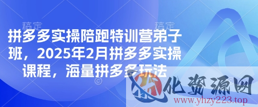 拼多多实操陪跑特训营弟子班，2025年2月拼多多实操课程，海量拼多多玩法