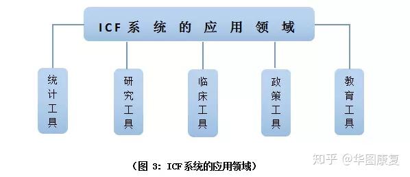 康复科学的理论支撑——ICF - 知乎