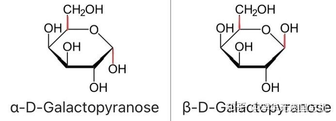 半乳糖环状结构式图片