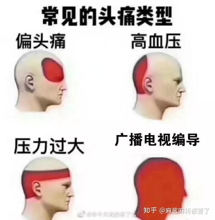 编导生专用表情包图片